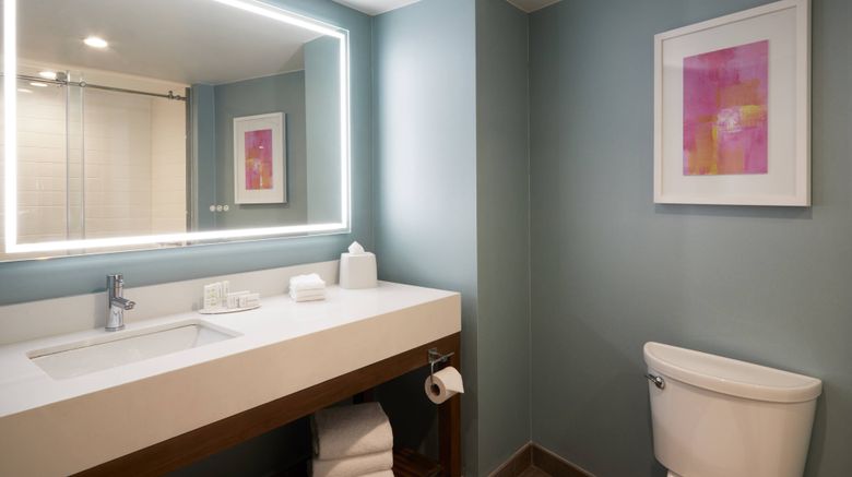 <b>Fairfield Inn & Suites Camarillo Room</b>. Images powered by <a href="https://www.leonardoworldwide.com/" title="Leonardo Worldwide" target="_blank">Leonardo</a>.