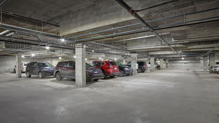 Four Points by Sheraton Edmonton West Other