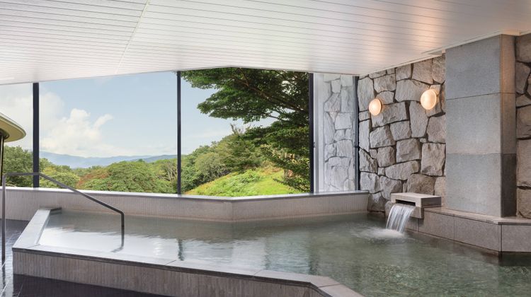 Izu Marriott Hotel Shuzenji Recreation