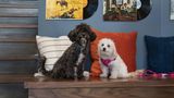 <b>Moxy Nashville Vanderbilt Area Other</b>. Images powered by <a href="https://www.leonardoworldwide.com/" title="Leonardo Worldwide" target="_blank">Leonardo</a>.