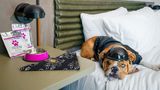 Moxy Downtown Los Angeles Other
