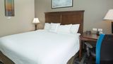 TownePlace Suites Pocatello Suite