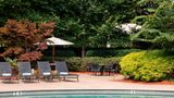 Atlanta Marriott Northeast/Emory Area Pool