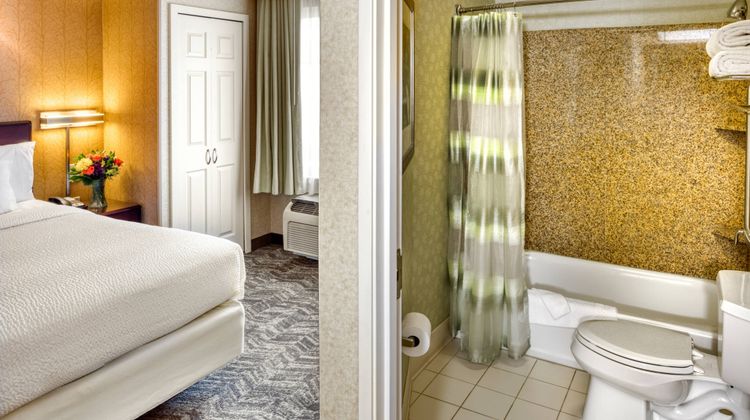 SpringHill Suites by Marriott Room