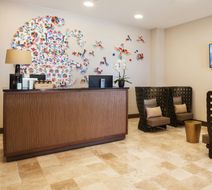 Westin Los Cabos Resort Villas Lobby