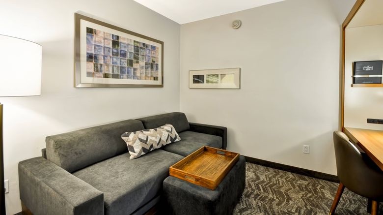 <b>SpringHill Suites Tallahassee Central Room</b>. Images powered by <a href="https://www.leonardoworldwide.com/" title="Leonardo Worldwide" target="_blank">Leonardo</a>.