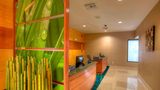 SpringHill Suites Tampa Brandon Other