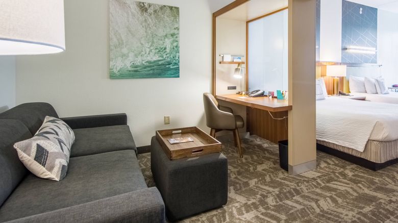 <b>SpringHill Suites Tampa North Room</b>. Images powered by <a href="https://www.leonardoworldwide.com/" title="Leonardo Worldwide" target="_blank">Leonardo</a>.