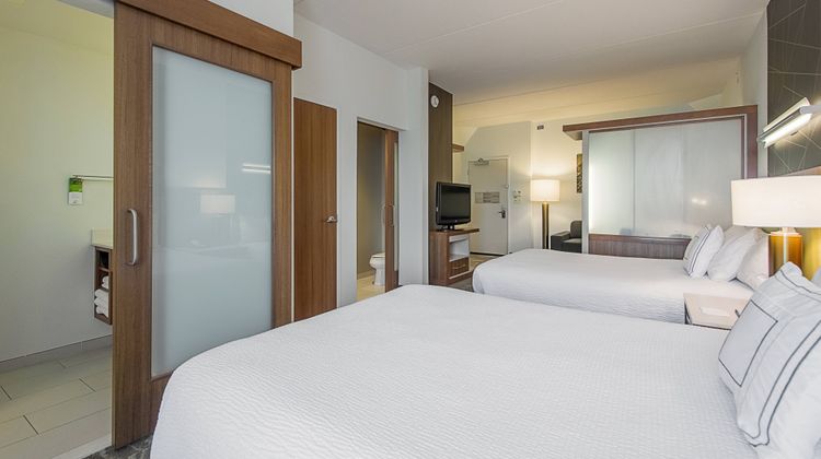 SpringHill Suites Tampa North Suite