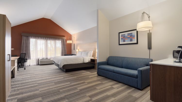 Holiday Inn Express & Suites Room