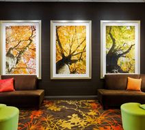 Sheraton Springfield Monarch Place Hotel Lobby