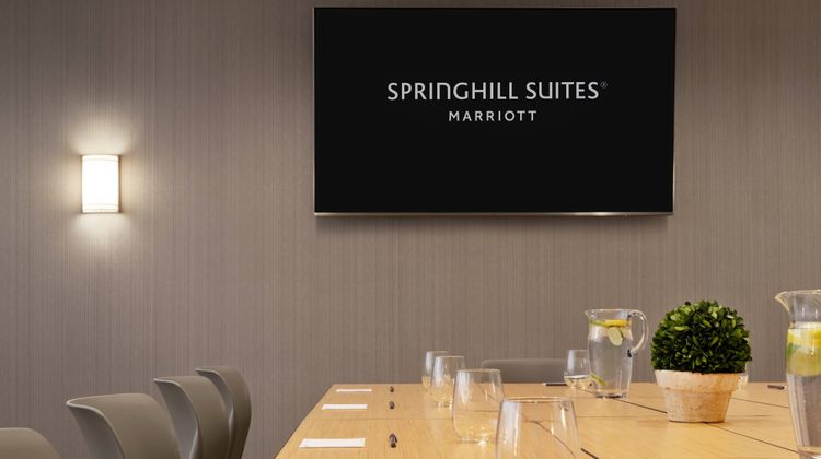 SpringHill Suites by Marriott Allentown Meeting