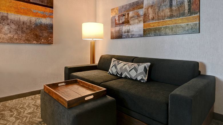 <b>SpringHill Suites University Area Room</b>. Images powered by <a href="https://www.leonardoworldwide.com/" title="Leonardo Worldwide" target="_blank">Leonardo</a>.