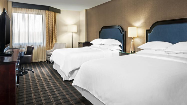 Sheraton Charlotte Airport Hotel Room