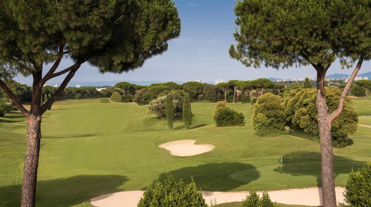 Sheraton Parco de' Medici Rome Hotel Other