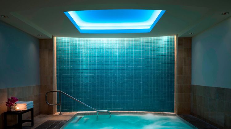 The Ritz-Carlton, Dallas Pool