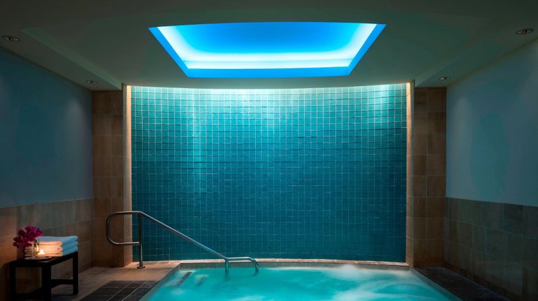 <b>The Ritz-Carlton, Dallas Pool</b>. Images powered by <a href="https://www.leonardoworldwide.com/" title="Leonardo Worldwide" target="_blank">Leonardo</a>.