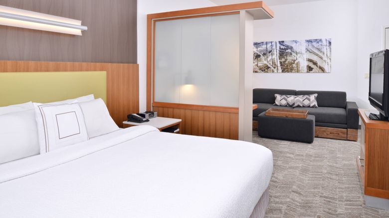 <b>SpringHill Suites Ashburn Dulles North Suite</b>. Images powered by <a href="https://www.leonardoworldwide.com/" title="Leonardo Worldwide" target="_blank">Leonardo</a>.