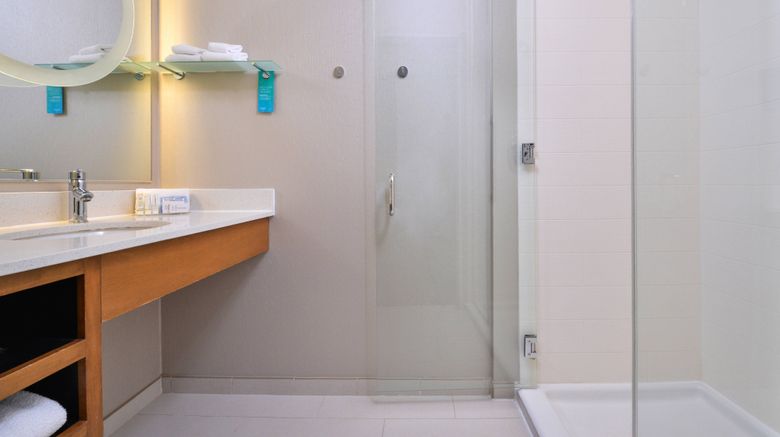 <b>SpringHill Suites Ashburn Dulles North Room</b>. Images powered by <a href="https://www.leonardoworldwide.com/" title="Leonardo Worldwide" target="_blank">Leonardo</a>.