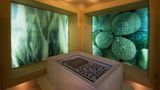 Sheraton Dammam Hotel & Convention Ctr Spa