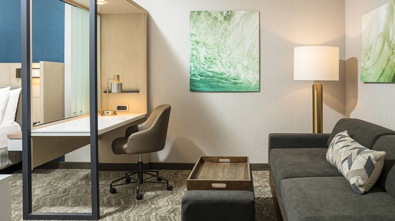 <b>SpringHill Suites Savannah Richmond Hill Room</b>. Images powered by <a href="https://www.leonardoworldwide.com/" title="Leonardo Worldwide" target="_blank">Leonardo</a>.
