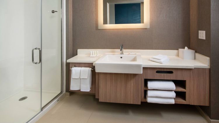 SpringHill Suites By Marriott Frederick Room