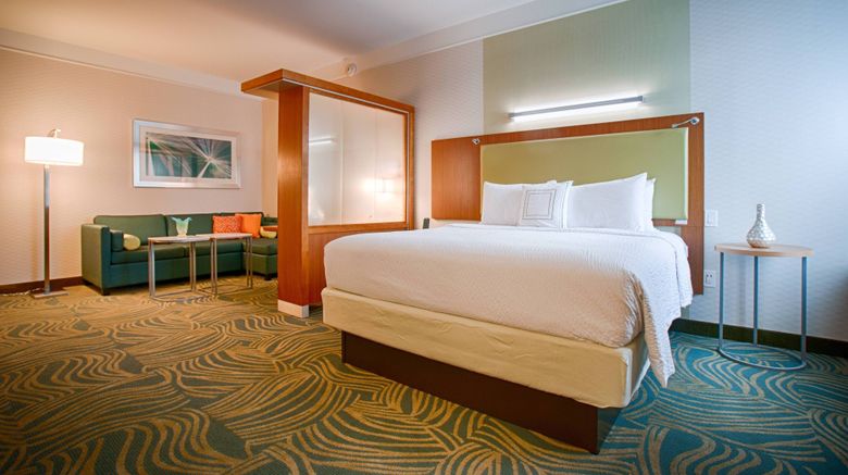 <b>SpringHill Suites Canton Suite</b>. Images powered by <a href="https://www.leonardoworldwide.com/" title="Leonardo Worldwide" target="_blank">Leonardo</a>.