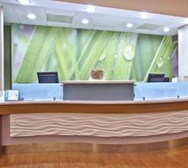 SpringHill Suites Chicago Elmhurst Lobby