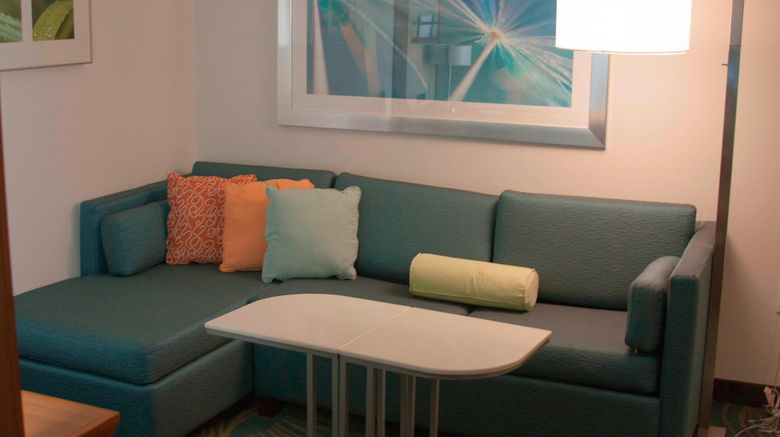 <b>SpringHill Stes Corpus Christi Room</b>. Images powered by <a href="https://www.leonardoworldwide.com/" title="Leonardo Worldwide" target="_blank">Leonardo</a>.