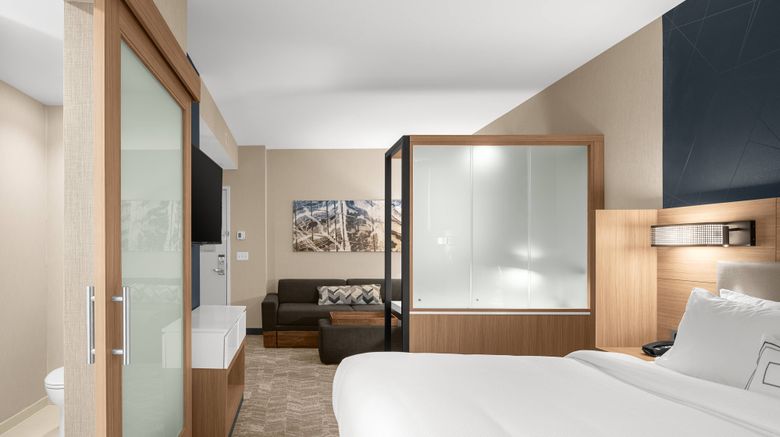 <b>SpringHill Suites Jackson Suite</b>. Images powered by <a href="https://www.leonardoworldwide.com/" title="Leonardo Worldwide" target="_blank">Leonardo</a>.