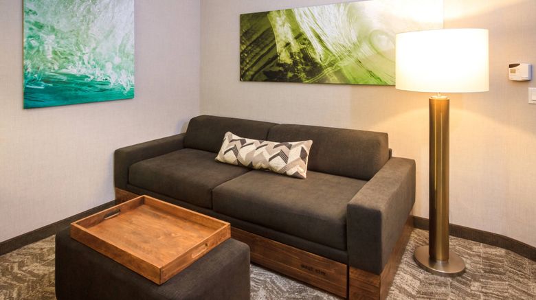 <b>SpringHill Suites The Dunes On Monterey Room</b>. Images powered by <a href="https://www.leonardoworldwide.com/" title="Leonardo Worldwide" target="_blank">Leonardo</a>.