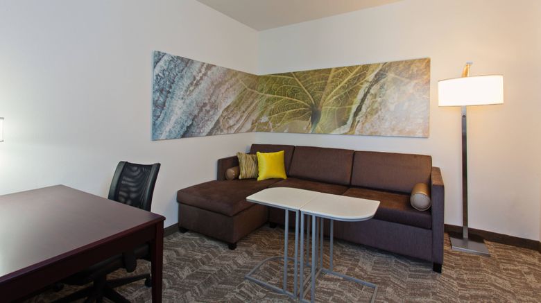<b>SpringHill Suites El Paso Suite</b>. Images powered by <a href="https://www.leonardoworldwide.com/" title="Leonardo Worldwide" target="_blank">Leonardo</a>.