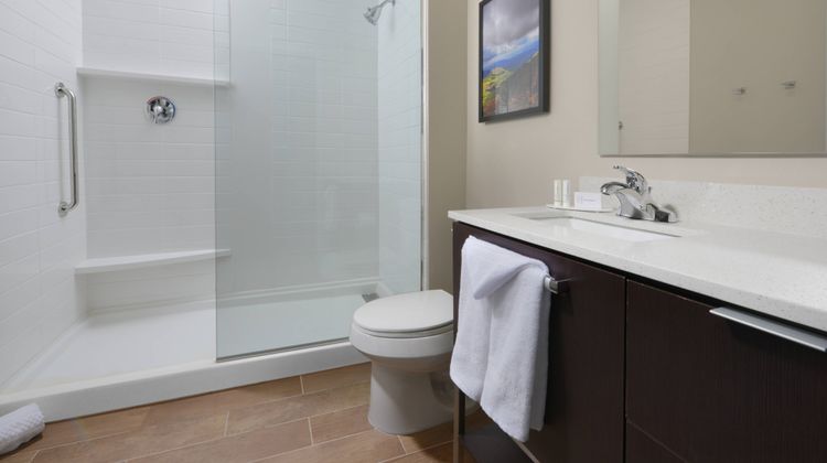 TownePlace Suites Denver South/Lone Tree Room