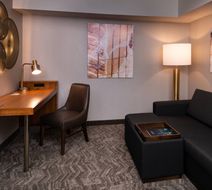 SpringHill Suites Pittsburgh North Shore Room