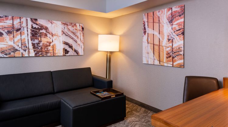 SpringHill Suites Pittsburgh North Shore Room