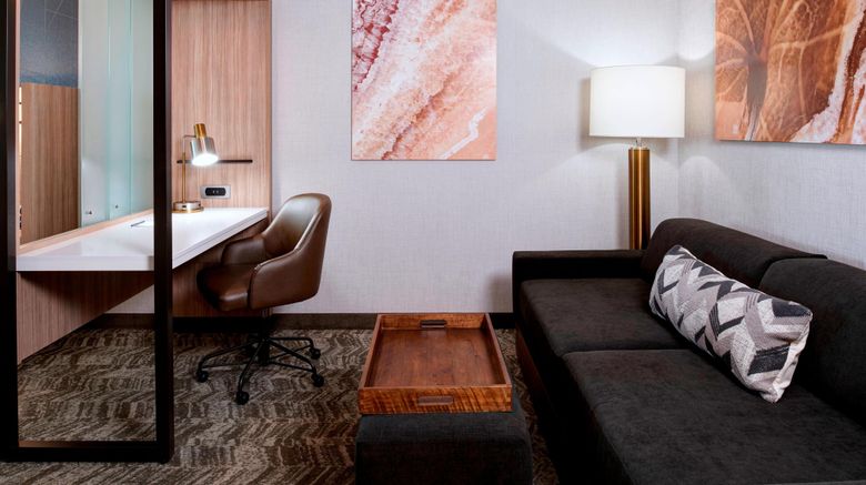 <b>SpringHill Suites Grand Rapids West Room</b>. Images powered by <a href="https://www.leonardoworldwide.com/" title="Leonardo Worldwide" target="_blank">Leonardo</a>.