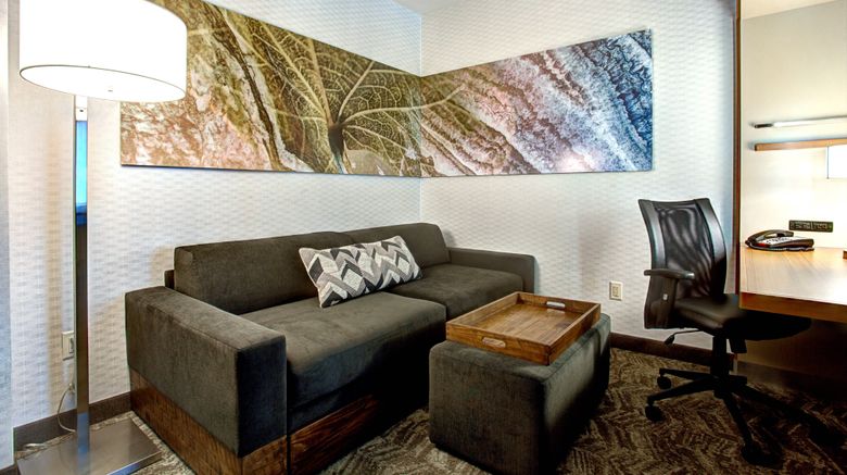 <b>SpringHill Suites Harrisburg / Hershey Room</b>. Images powered by <a href="https://www.leonardoworldwide.com/" title="Leonardo Worldwide" target="_blank">Leonardo</a>.