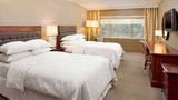 Sheraton Rockville Hotel Room