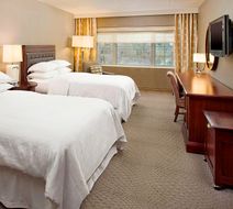 Sheraton Rockville Hotel Room