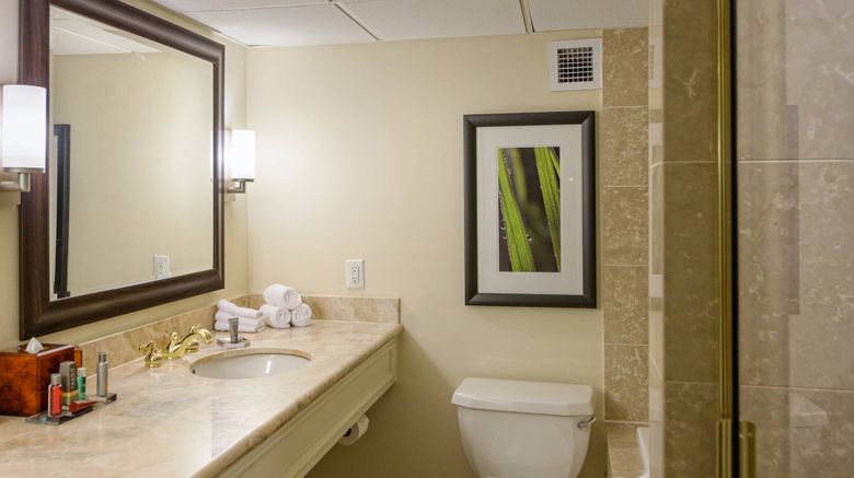 <b>Marriott West Loop by the Galleria Room</b>. Images powered by <a href="https://www.leonardoworldwide.com/" title="Leonardo Worldwide" target="_blank">Leonardo</a>.