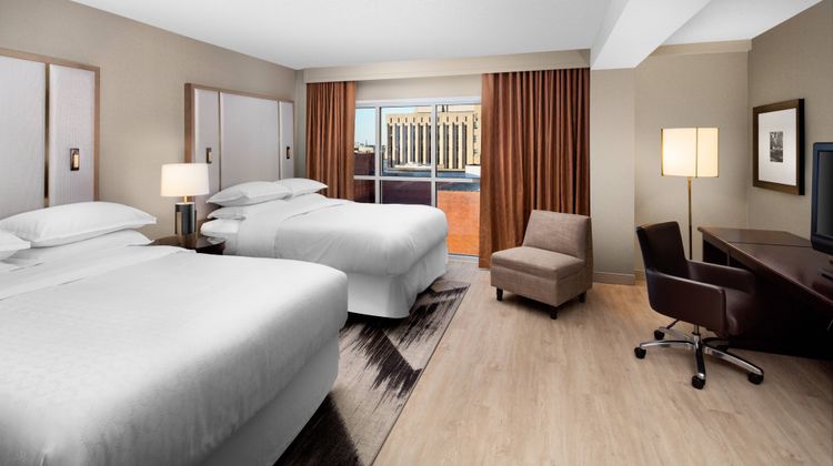 Sheraton Raleigh Hotel Room