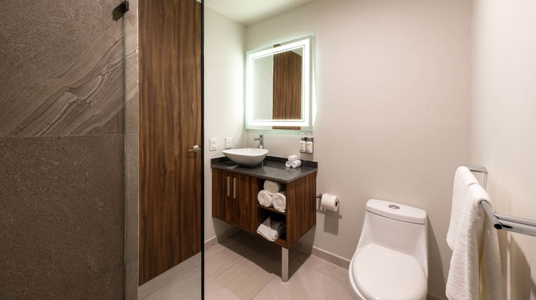<b>Holiday Inn Tulum Downtown Room</b>. Images powered by <a href="https://www.leonardoworldwide.com/" title="Leonardo Worldwide" target="_blank">Leonardo</a>.