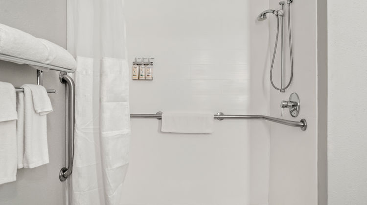 Holiday Inn Express Hotel & Suites Room