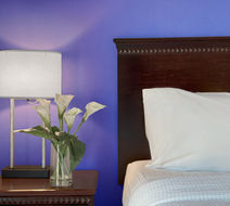 Holiday Inn South Plainfield Room