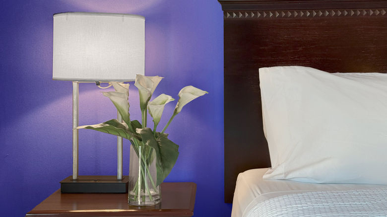 <b>Holiday Inn South Plainfield Room</b>. Images powered by <a href="https://www.leonardoworldwide.com/" title="Leonardo Worldwide" target="_blank">Leonardo</a>.