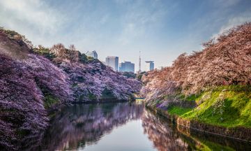 Four Seasons Hotel Tokyo at Otemachi