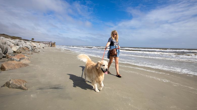 <b>Holiday Inn Resort Jekyll Island Beach</b>. Images powered by <a href="https://www.leonardoworldwide.com/" title="Leonardo Worldwide" target="_blank">Leonardo</a>.