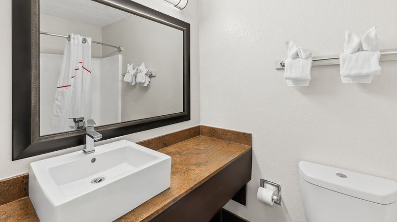 <b>Red Roof PLUS+ & Suites Atlanta Airport Room</b>. Images powered by <a href="https://www.leonardoworldwide.com/" title="Leonardo Worldwide" target="_blank">Leonardo</a>.