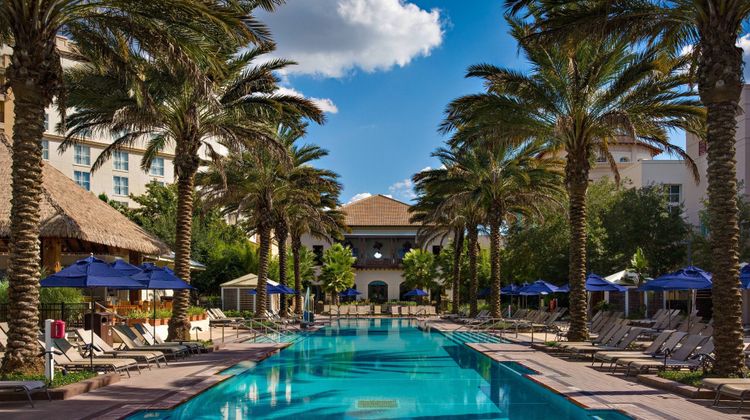 Gaylord Palms Resort & Convention Center Pool