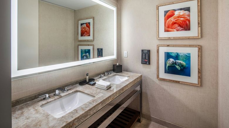 <b>Gaylord Palms Resort & Convention Center Room</b>. Images powered by <a href="https://www.leonardoworldwide.com/" title="Leonardo Worldwide" target="_blank">Leonardo</a>.